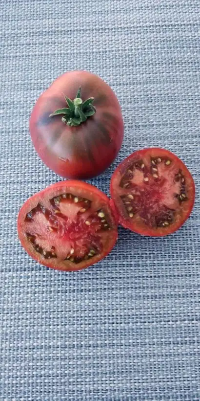 Tomaten: Dwarf Black Angus