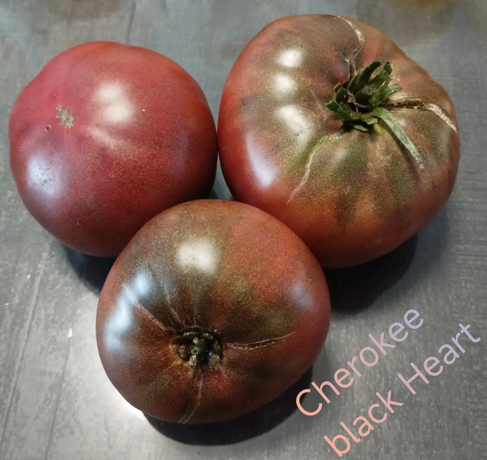 Tomaten: Dwarf Cherokee Tiger Black