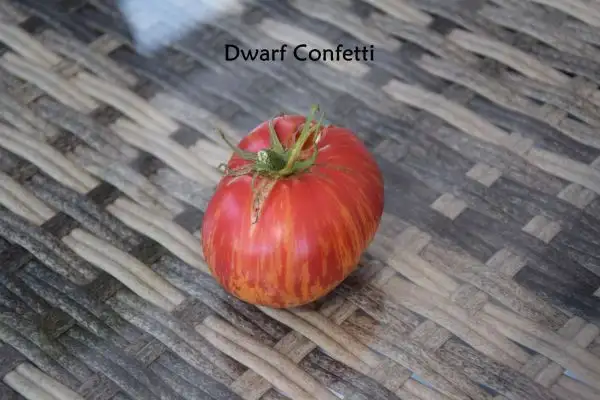 Tomaten: Dwarf Confetti