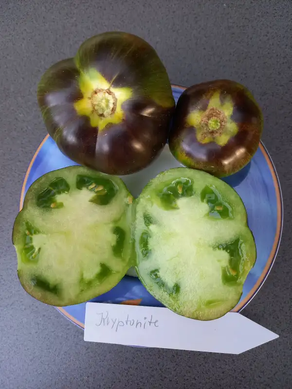 Tomaten: Dwarf Kryptonite