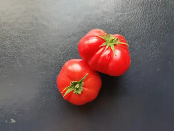 Tomaten: Dwarf Mystic Lady