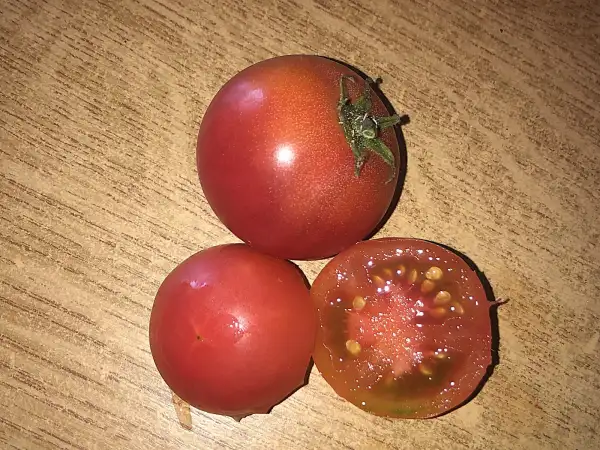Tomaten: Dwarf Pink Opal