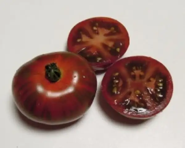 Tomaten: Dwarf Sarandipity