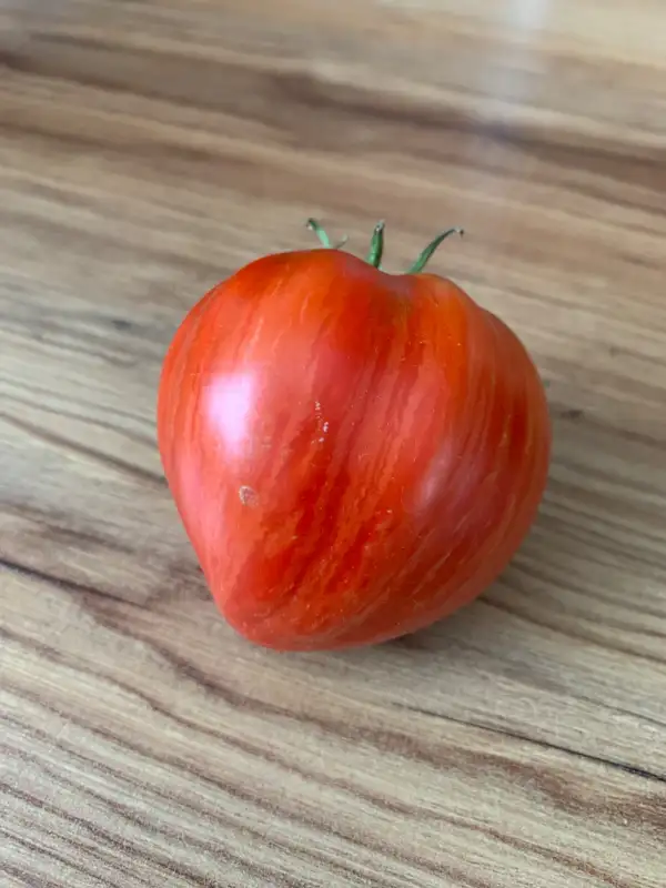 Tomaten: Dwarf Stony Brook Heart