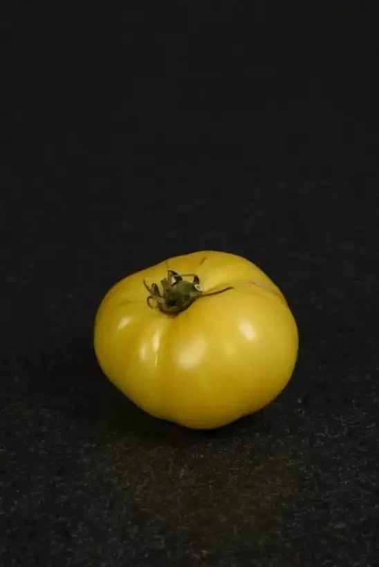 Tomaten: Dwarf Sweet Sue