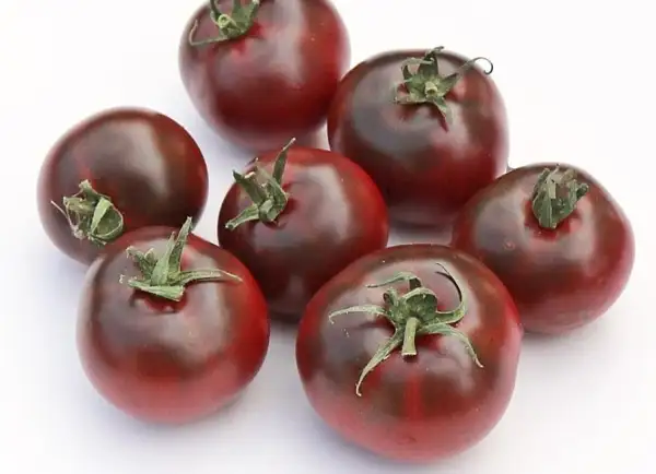 Tomaten: Dwarf Velvet Night