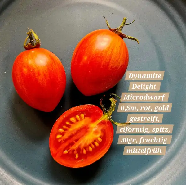 Tomaten: Dynamite Delight