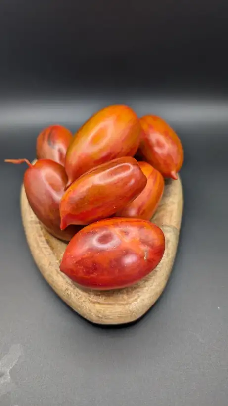Tomaten: E-Glut (Dwarf)