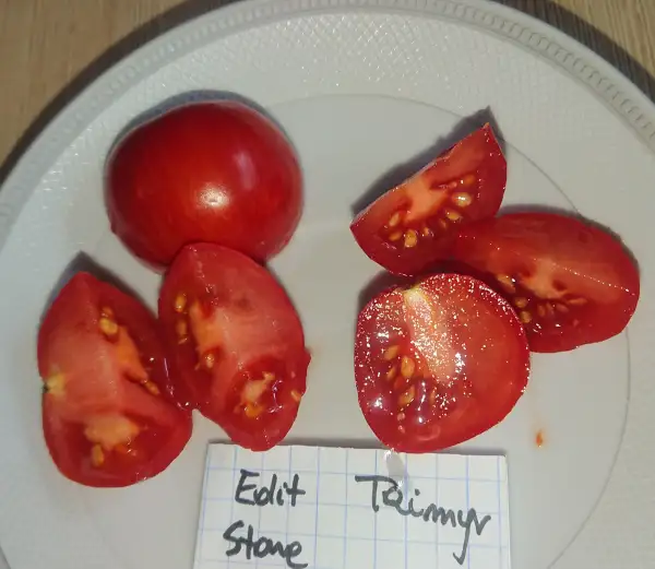 Tomaten: Edit Stone DTP