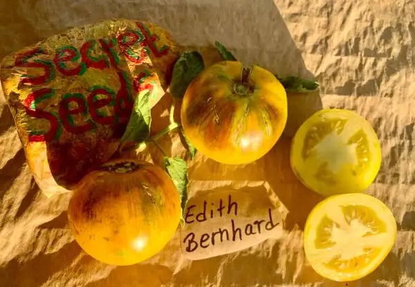 Tomaten: Edith Bernhard