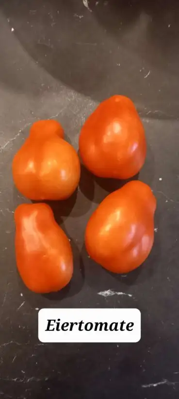 Tomaten: Eiertomate