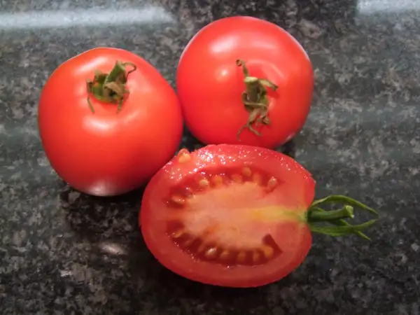 Tomaten: Eiertomate De Barao - Stabtomate