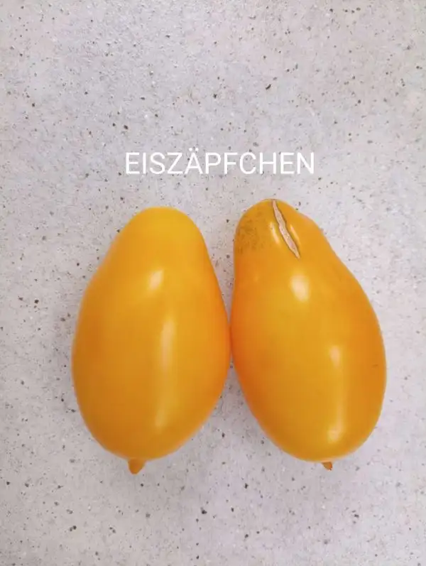 Tomaten: Eiszäpfchen