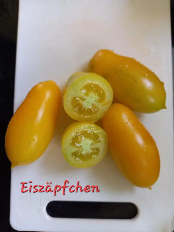 Tomaten: Eiszäpfchen