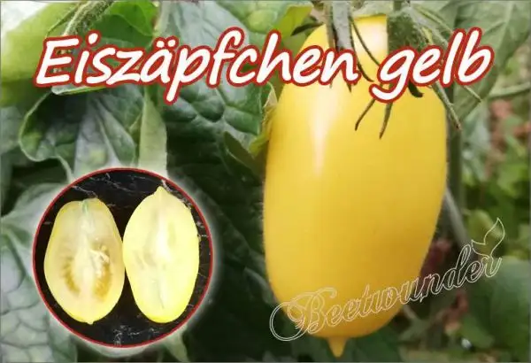 Tomaten: Eiszäpfchen gelb