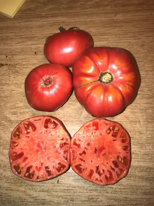 Tomaten: El Jardín de Albacete