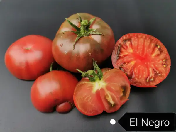 Tomaten: El Negro