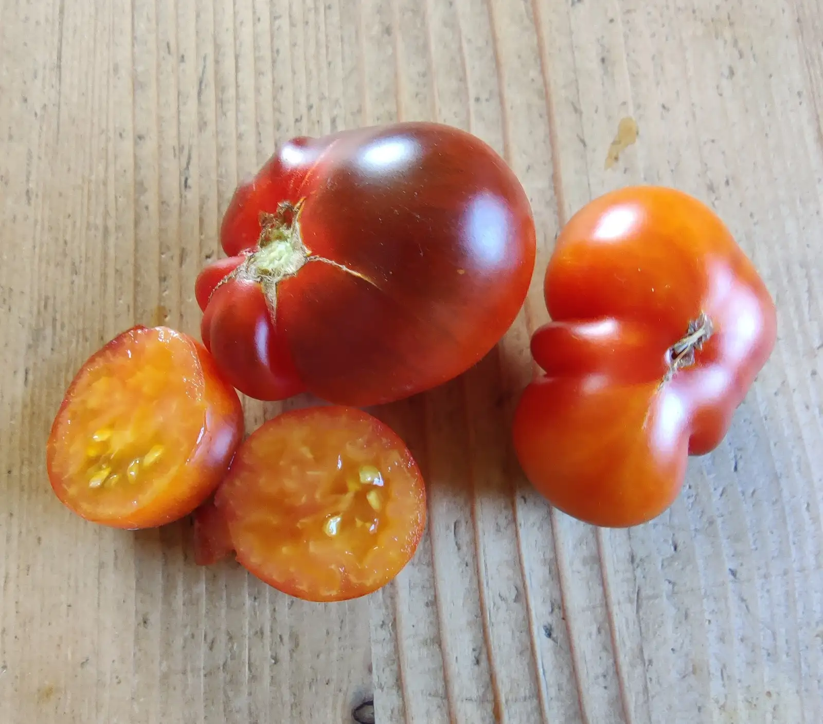 Tomaten: Elberta Leeway
