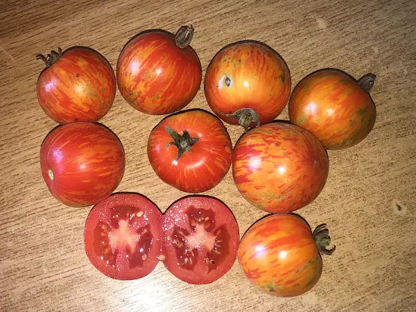 Tomaten: Elberta Peach