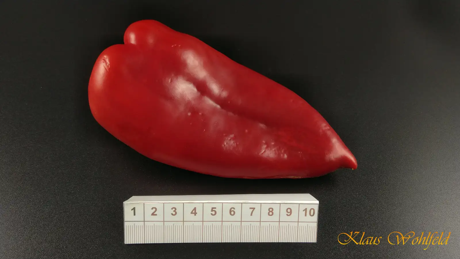 Chili / Paprika: Elephant