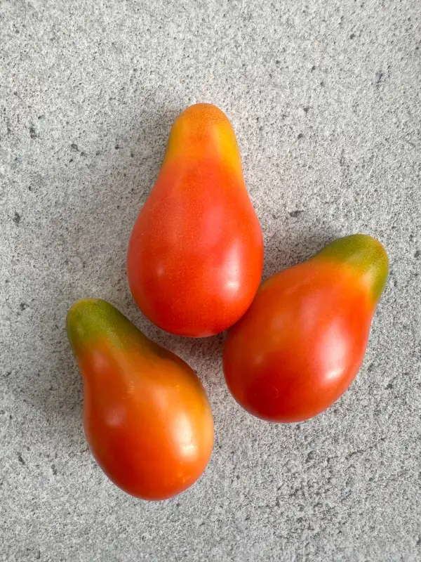 Tomaten: Elf Tears