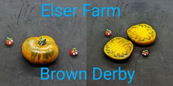 Tomaten: Elser Farm Brown Derby