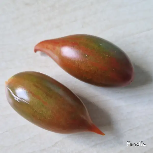Tomaten: Emalia
