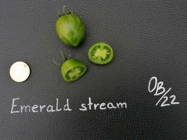 Tomaten: Emerald stream