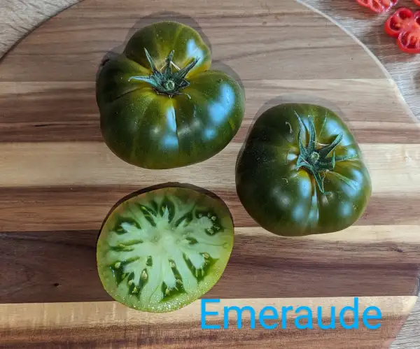 Tomaten: Emeraude