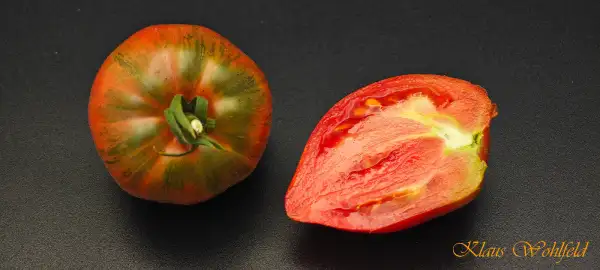 Tomaten: Erdbeer-Sherbet