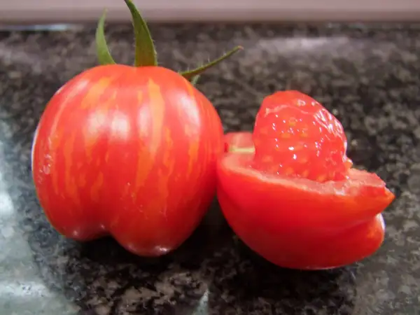 Tomaten: Erdbeer Tomate