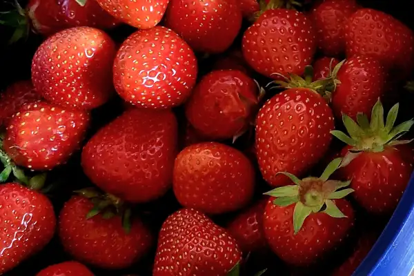 Beeren: Erdbeeren, super aromatisch