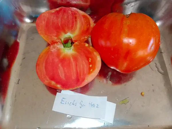 Tomaten: Erichs großes Herz