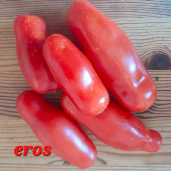 Tomaten: Eros