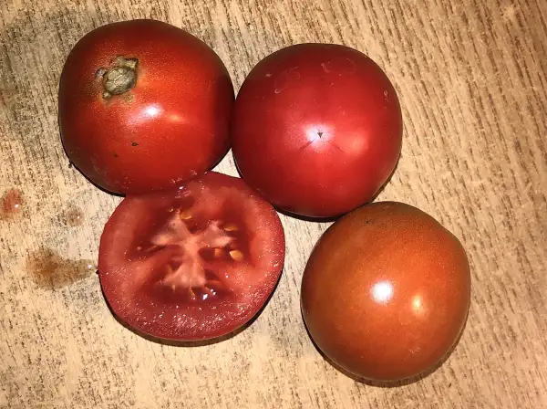 Tomaten: Eros (Tchéquie)