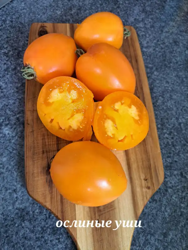 Tomaten: Eselsohren