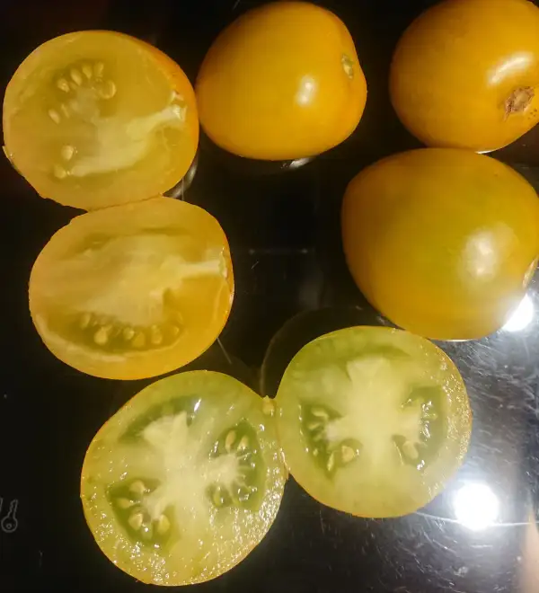 Tomaten: Esmealna Gołosina