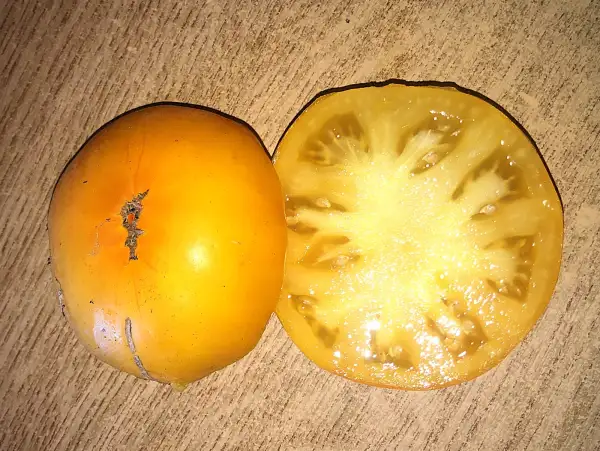 Tomaten: Espas