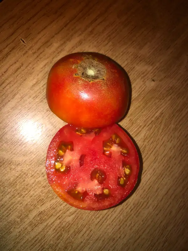 Tomaten: Eva Sainte Wendell