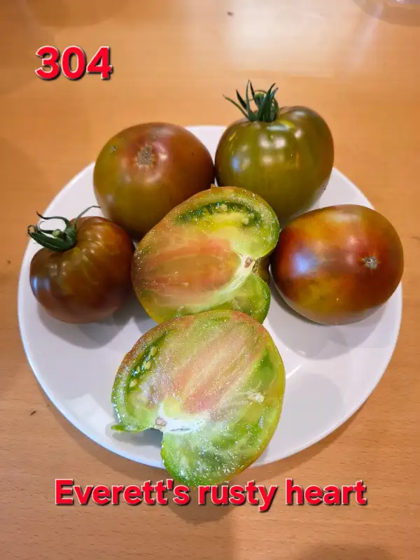 Tomaten: Everet