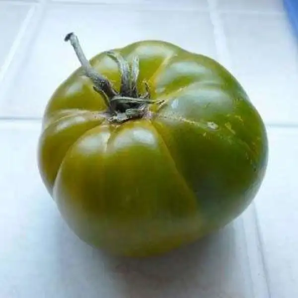 Tomaten: Evergreen