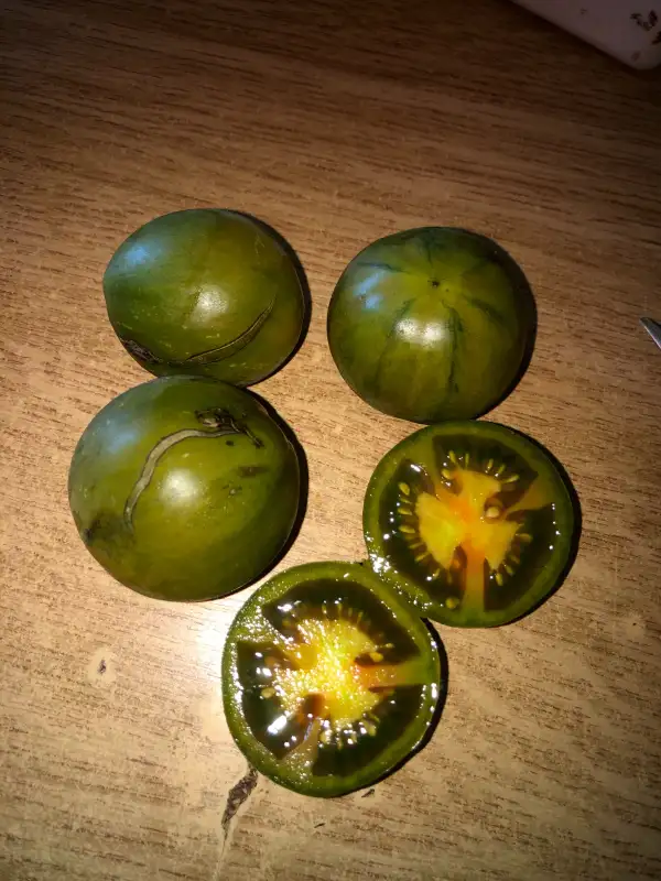 Tomaten: Evil Olive