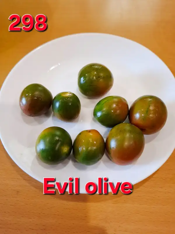 Tomaten: Evil Olive