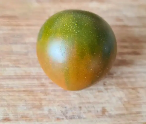 Tomaten: Evil Olive