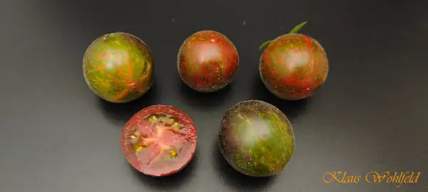 Tomaten: Extravagante Rouffiange
