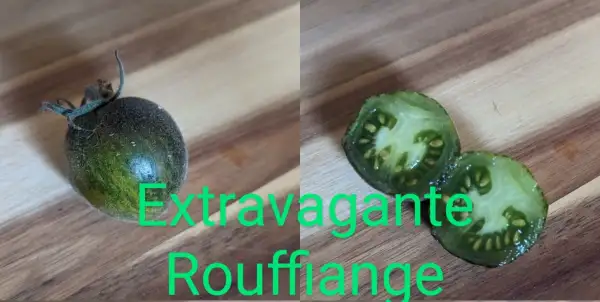 Tomaten: Extravagante Rouffiange