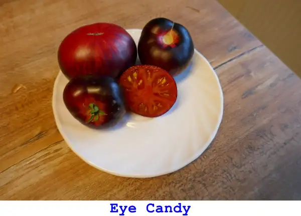 Tomaten: Eye Candy