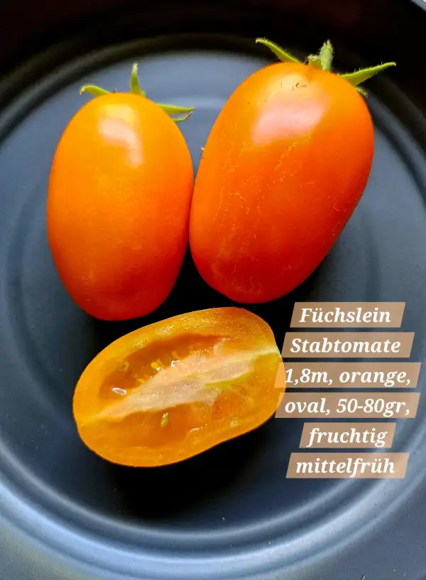 Tomaten: Füchslein