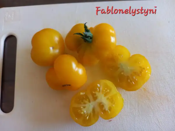 Tomaten: Fablonelystyni