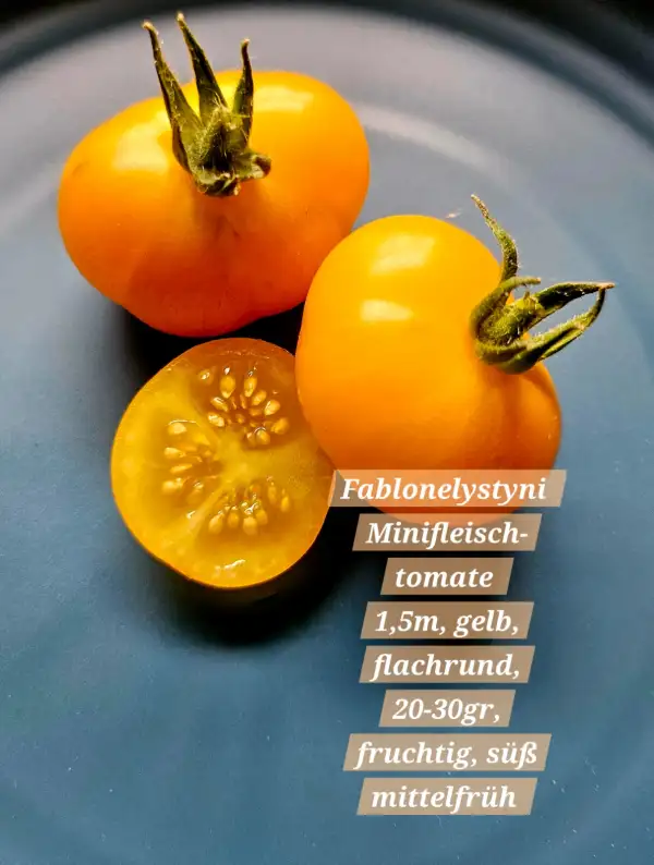 Tomaten: Fablonelystyni